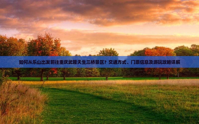 如何从乐山出发前往重庆武隆天生三桥景区？交通方式、门票信息及游玩攻略详解