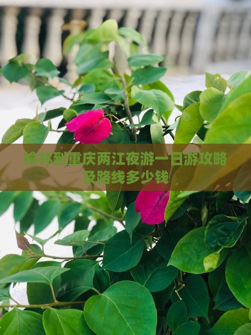 榆林到重庆两江夜游一日游攻略及路线多少钱
