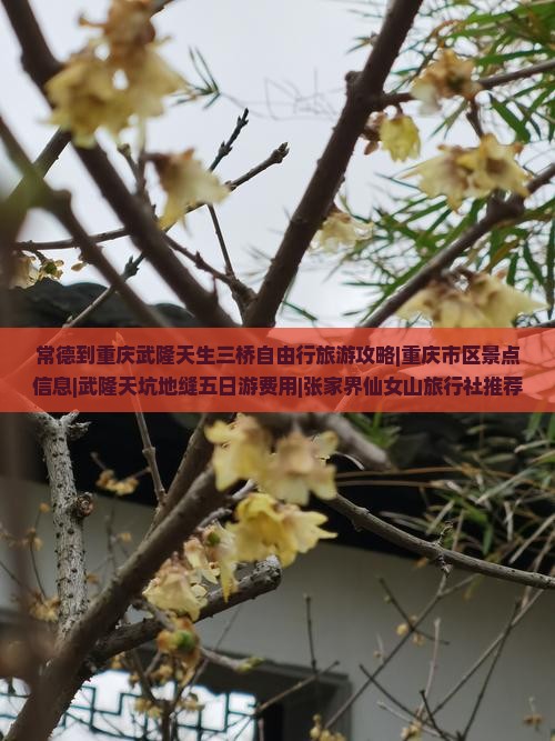 常德到重庆武隆天生三桥自由行旅游攻略|重庆市区景点信息|武隆天坑地缝五日游费用|张家界仙女山旅行社推荐