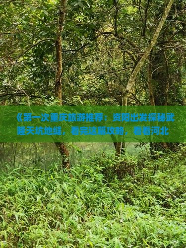 《第一次重庆旅游推荐：资阳出发探秘武隆天坑地缝，看完这篇攻略，看看河北旅行社提供的自由行服务信息》