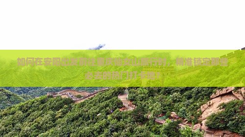 如何在安阳出发前往重庆仙女山旅行时，精准锁定那些必去的热门打卡地？