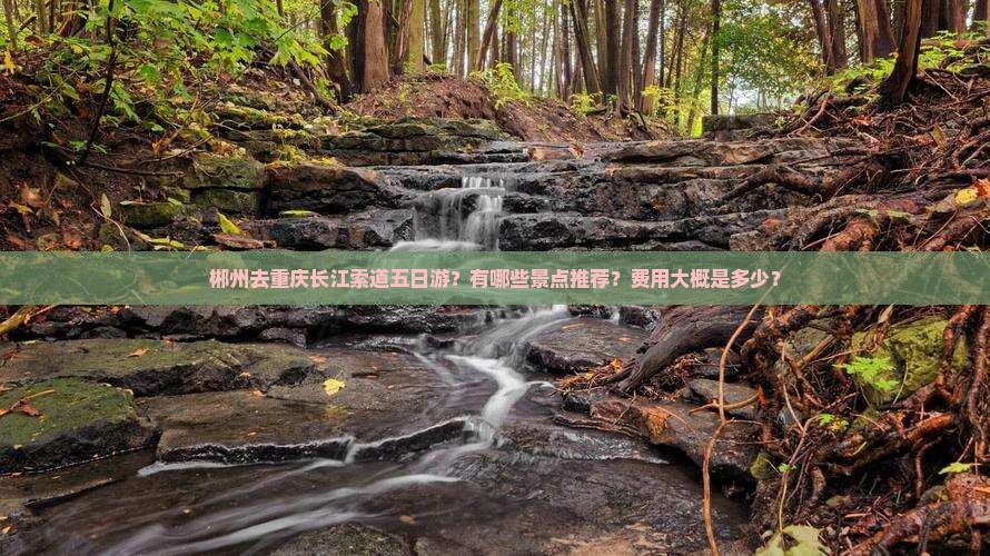 郴州去重庆长江索道五日游？有哪些景点推荐？费用大概是多少？