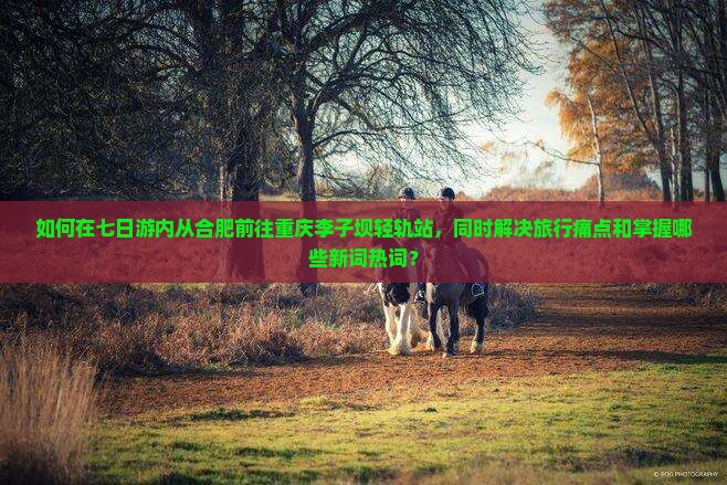 如何在七日游内从合肥前往重庆李子坝轻轨站，同时解决旅行痛点和掌握哪些新词热词？