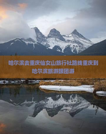 哈尔滨去重庆仙女山旅行社路线重庆到哈尔滨旅游跟团游