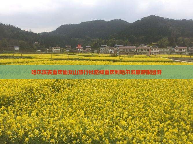 哈尔滨去重庆仙女山旅行社路线重庆到哈尔滨旅游跟团游