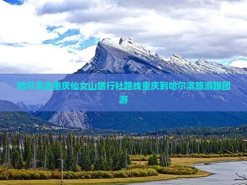 哈尔滨去重庆仙女山旅行社路线重庆到哈尔滨旅游跟团游