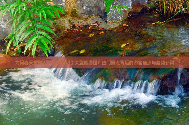 为何春天重庆WFC观景台吸引大型旅游团？热门景点背后的游客痛点与趋势新词