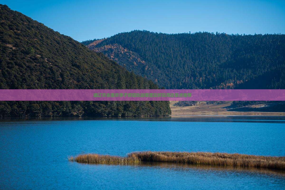 通辽市去重庆李子坝轻轨站哪里玩好玩周边景点推荐