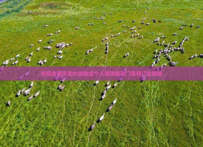 安阳去重庆龙水峡地缝个人游攻略及门票预订全解析