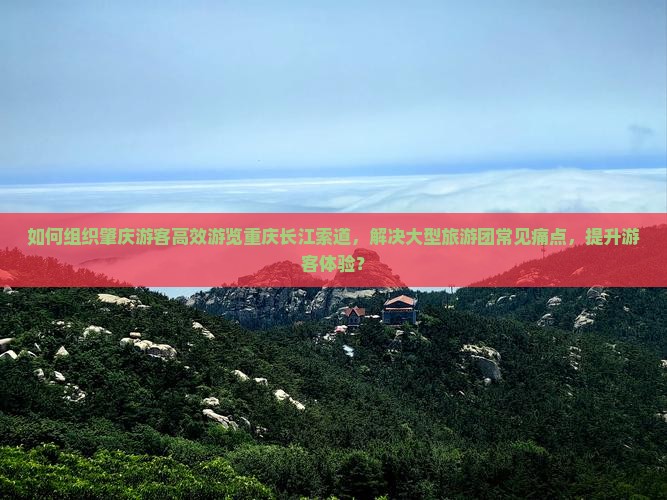 如何组织肇庆游客高效游览重庆长江索道，解决大型旅游团常见痛点，提升游客体验？
