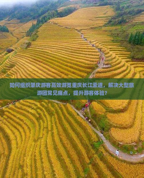 如何组织肇庆游客高效游览重庆长江索道，解决大型旅游团常见痛点，提升游客体验？