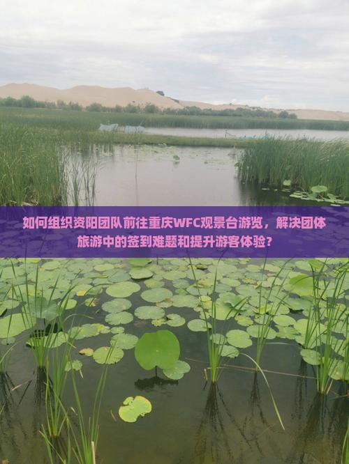 如何组织资阳团队前往重庆WFC观景台游览，解决团体旅游中的签到难题和提升游客体验？