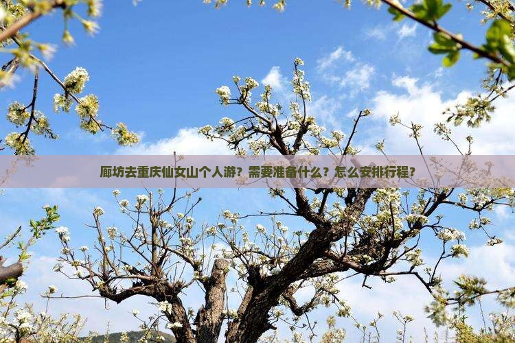 廊坊去重庆仙女山个人游？需要准备什么？怎么安排行程？