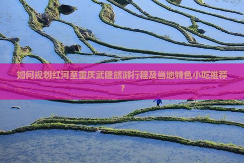 如何规划红河至重庆武隆旅游行程及当地特色小吃推荐？