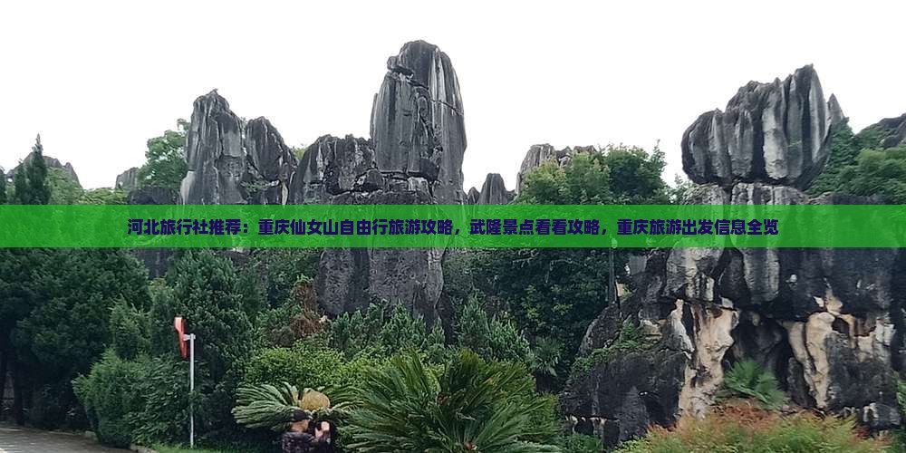 河北旅行社推荐：重庆仙女山自由行旅游攻略，武隆景点看看攻略，重庆旅游出发信息全览