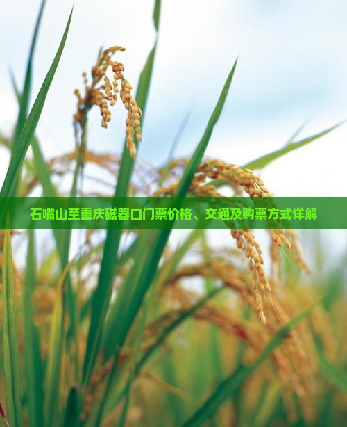石嘴山至重庆磁器口门票价格、交通及购票方式详解