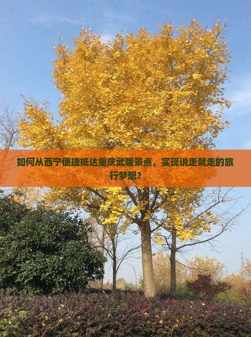 如何从西宁便捷抵达重庆武隆景点，实现说走就走的旅行梦想？