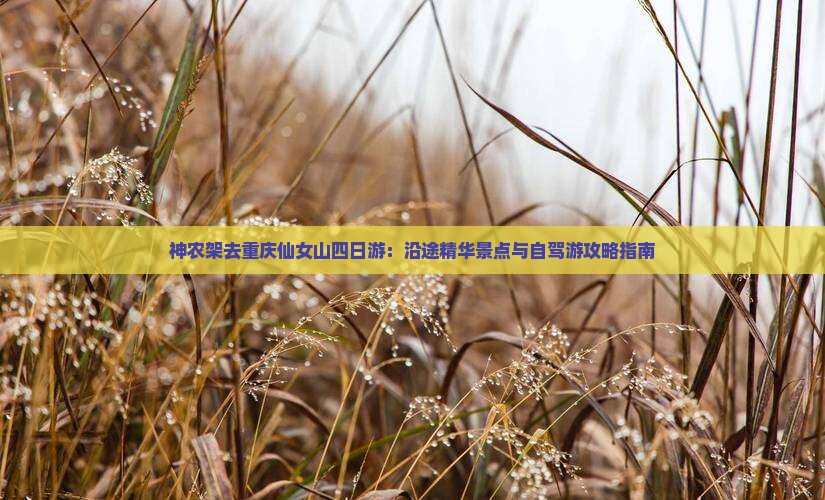 神农架去重庆仙女山四日游：沿途精华景点与自驾游攻略指南