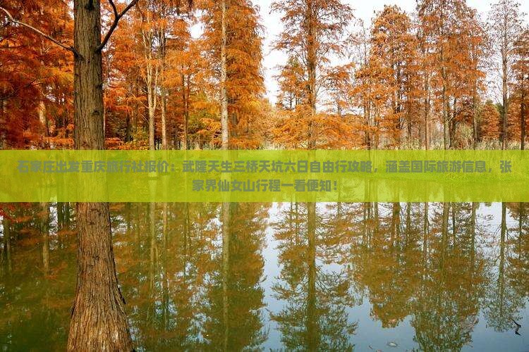 石家庄出发重庆旅行社报价：武隆天生三桥天坑六日自由行攻略，涵盖国际旅游信息，张家界仙女山行程一看便知！