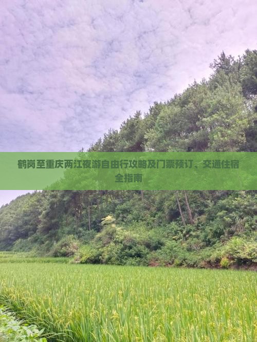 鹤岗至重庆两江夜游自由行攻略及门票预订、交通住宿全指南