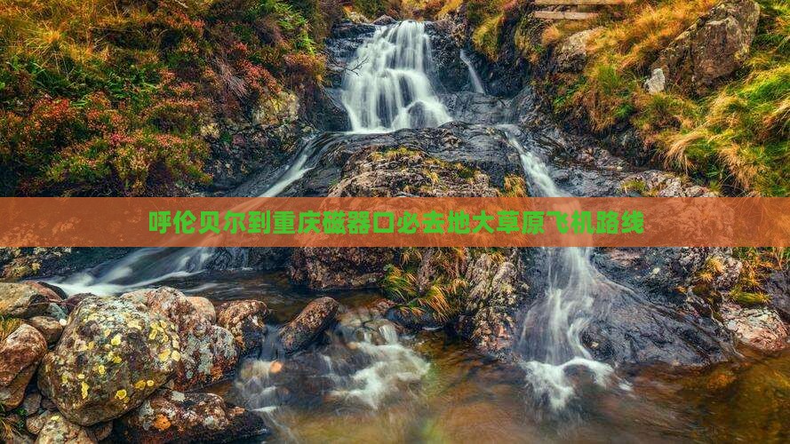 呼伦贝尔到重庆磁器口必去地大草原飞机路线