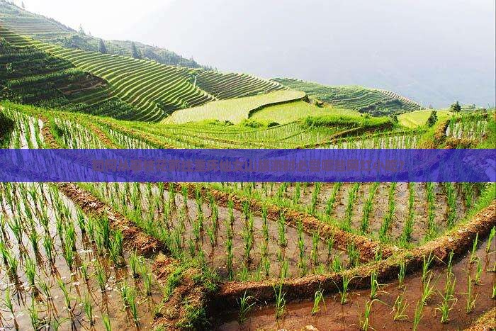 如何从攀枝花前往重庆仙女山旅游时必尝哪些网红小吃？