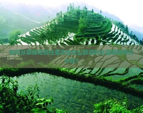 如何从攀枝花前往重庆仙女山旅游时必尝哪些网红小吃？