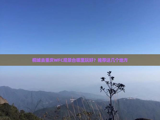 桐城去重庆WFC观景台哪里玩好？推荐这几个地方