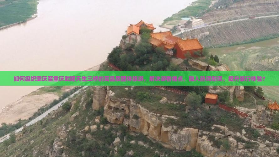 如何组织肇庆至重庆武隆天生三桥的高品质团体旅游，解决游客痛点，融入热词新词，提升旅行体验？