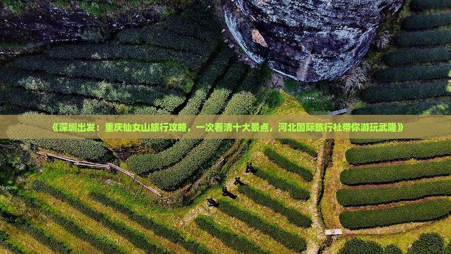 《深圳出发：重庆仙女山旅行攻略，一次看清十大景点，河北国际旅行社带你游玩武隆》