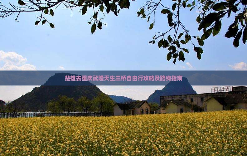 楚雄去重庆武隆天生三桥自由行攻略及路线指南