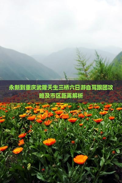 永新到重庆武隆天生三桥六日游自驾跟团攻略及市区距离解析