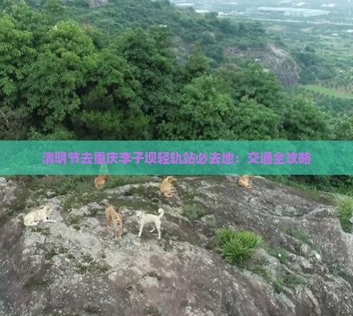 清明节去重庆李子坝轻轨站必去地：交通全攻略