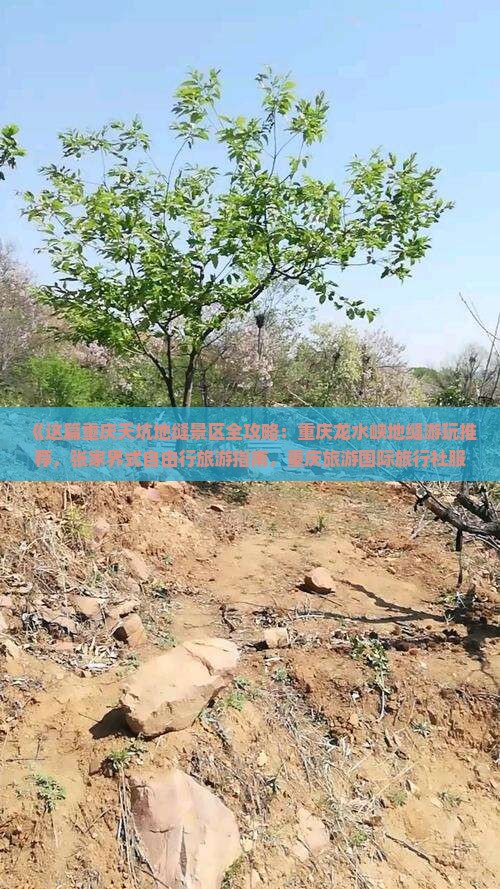《这篇重庆天坑地缝景区全攻略：重庆龙水峡地缝游玩推荐，张家界式自由行旅游指南，重庆旅游国际旅行社服务详解》