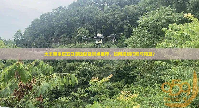 大丰至重庆五日游攻略及景点推荐，如何规划行程与预算？