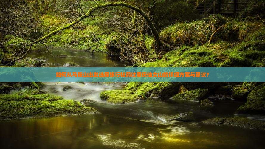 如何从马鞍山出发选择旅行社前往重庆仙女山的详细方案与建议？
