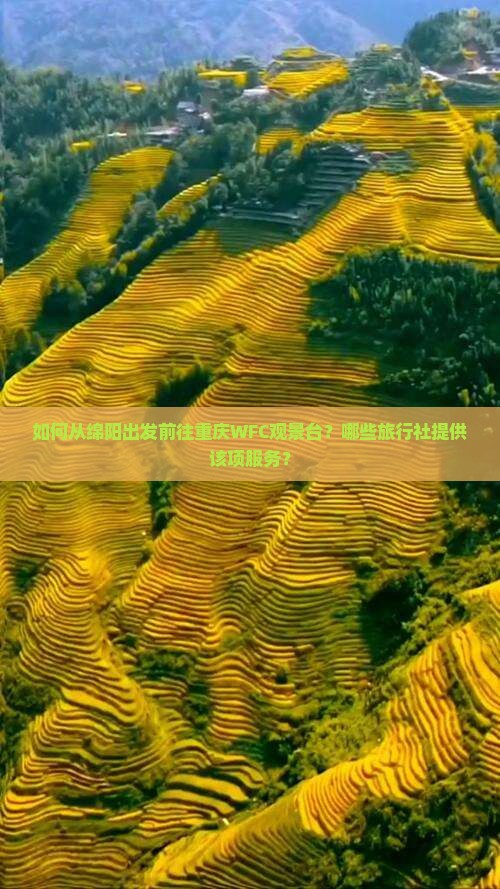 如何从绵阳出发前往重庆WFC观景台？哪些旅行社提供该项服务？