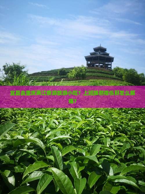 宜昌去重庆两江夜游旅游小吃？上班族熬夜伤肝怎么解痛？