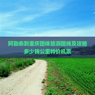 阿勒泰到重庆团体旅游路线及攻略多少钱公里特价机票