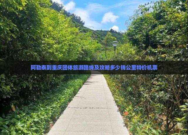 阿勒泰到重庆团体旅游路线及攻略多少钱公里特价机票