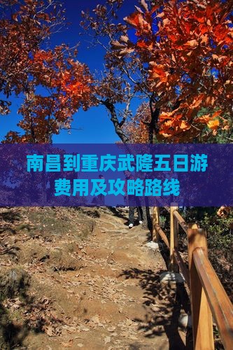 南昌到重庆武隆五日游费用及攻略路线