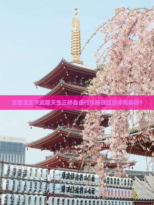 宜春至重庆武隆天生三桥自由行攻略及团游详情解析？