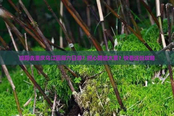 绵阳去重庆乌江画廊六日游？担心路途太累？快看这份攻略