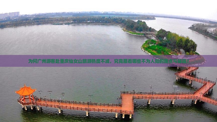 为何广州游客赴重庆仙女山旅游热度不减，究竟藏着哪些不为人知的痛点与秘籍？