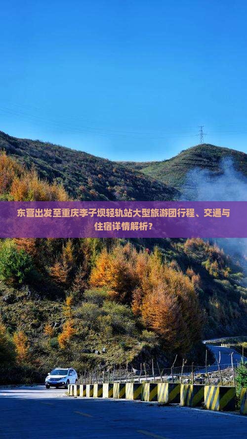 东营出发至重庆李子坝轻轨站大型旅游团行程、交通与住宿详情解析？