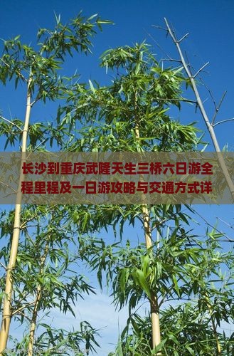 长沙到重庆武隆天生三桥六日游全程里程及一日游攻略与交通方式详解