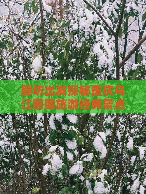 廊坊出发探秘重庆乌江画廊旅游经典景点之旅