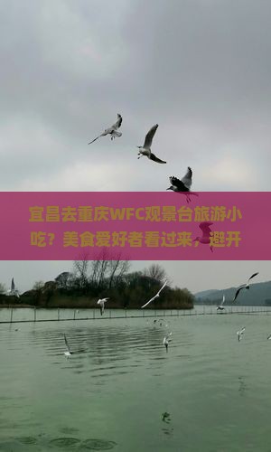宜昌去重庆WFC观景台旅游小吃？美食爱好者看过来，避开排队痛点，打卡网红地标