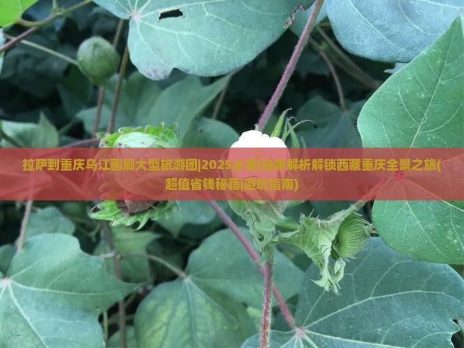 拉萨到重庆乌江画廊大型旅游团