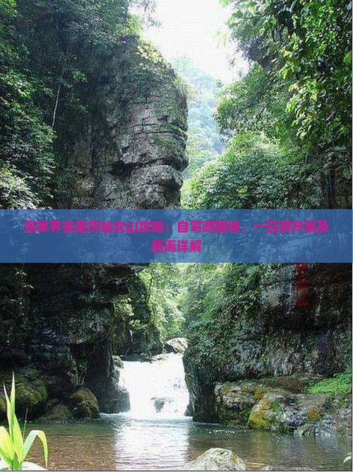 张家界去重庆仙女山攻略